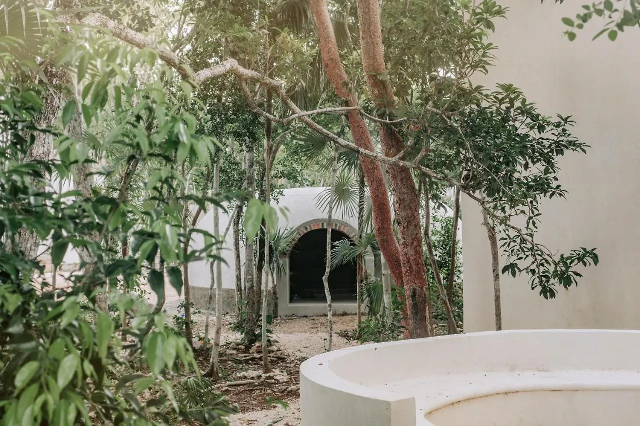 Вилла Jungle-Chic Luxurious Tulum Home
